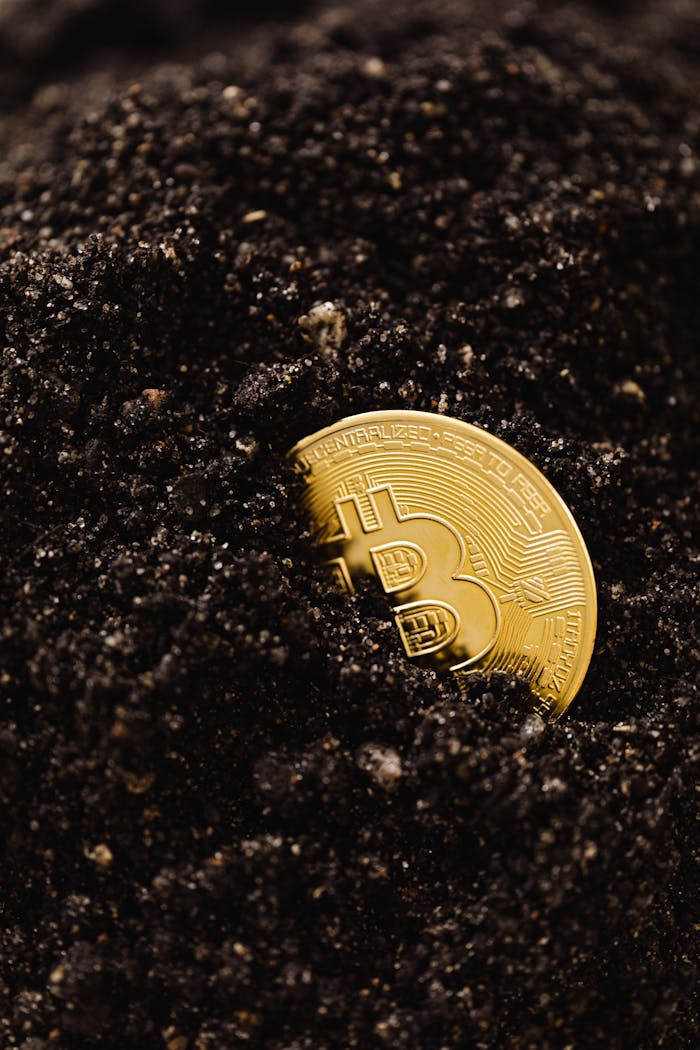 Gold Bitcoin coin partially buried in dark soil, symbolizing digital currency and investment.